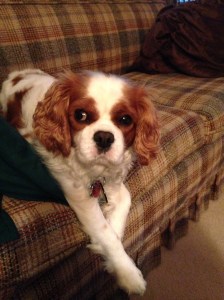 Caleb enjoying some spoiling at Grandma's house.